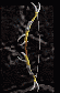 Crude Skraug Bow