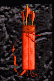 Flèches de Feu