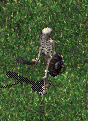 Skeleton guardian